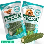 Knash Dental Chew Mint