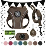 Black November Pakketilbud | Ollipet For Wagging tails sele og snor