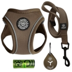 Pakketilbud | Ollipet For Wagging tails sele og snor