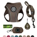 Pakketilbud | Ollipet For Wagging tails sele og snor