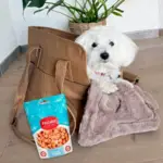 Pakketilbud | Ollipet Nice Hundetaske m. Luksus tæppe og Ficcaro Godbidder