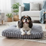 Ollipet Bella Bloom Madras