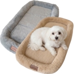 Ollipet Sweet Dreams hundemadras | Plys