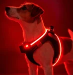 Step-in hundesele med LED-lys – nem at give på og lyser effektivt i mørke