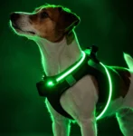 Step-in hundesele med LED-lys – nem at give på og lyser effektivt i mørke