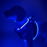LED-hundesele der kombinerer synlighed, komfort og stil
