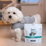 Pakketilbud | Rolig Nytårsaften