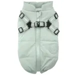 Ollipet Arctic Explorer | Model 1.0