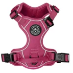 Wagging Tails Adventure Hundesele | Sweet Cherry