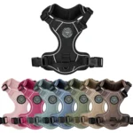 Ollipet For Wagging Tails | Adventure Hundesele 2.0