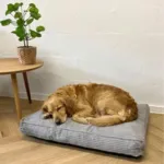 Pawise Cozy Bed Memory Madras
