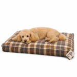 Ozami ternet Hundemadras | 70x50 cm.