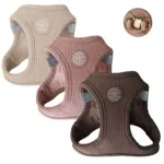 Ollipet For Wagging Tails | Velluto step-in sele