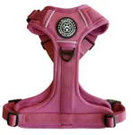 Ollipet for wagging tails | Airflex hundesele Sweet Cherry