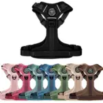 Ollipet for wagging tails | Airflex hundesele