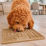 Lickimat Playdate Classic Kaffe