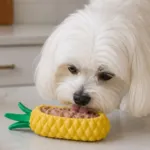 Ollipet Frostsnack | Pineapple