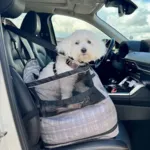 AFP Travel Dog | Autostol med forhøjnings-pude