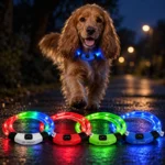 Ollipet LED NeonRing | Sikkerhedshalsbånd OneSize