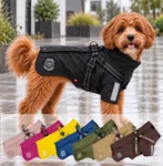 Ollipet For Wagging Tails | Aqua Explorer Regnjakke m. Sele