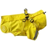 Ollipet For Wagging Tails | Aqua Explorer Regnjakke med sele