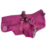 Ollipet For Wagging Tails | Aqua Explorer Regnjakke med sele