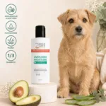 PSH Avocado Moisture Shampoo | 100ml