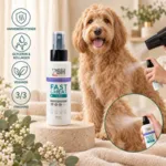 PSH Fast & Heat Heatprotecter | 100ml