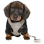 Trixie Puppy Dog hvalpesele og line | Lys grå