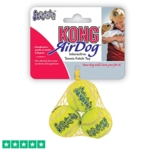 KONG mini tennisbold med piv | Net m. 3 stk