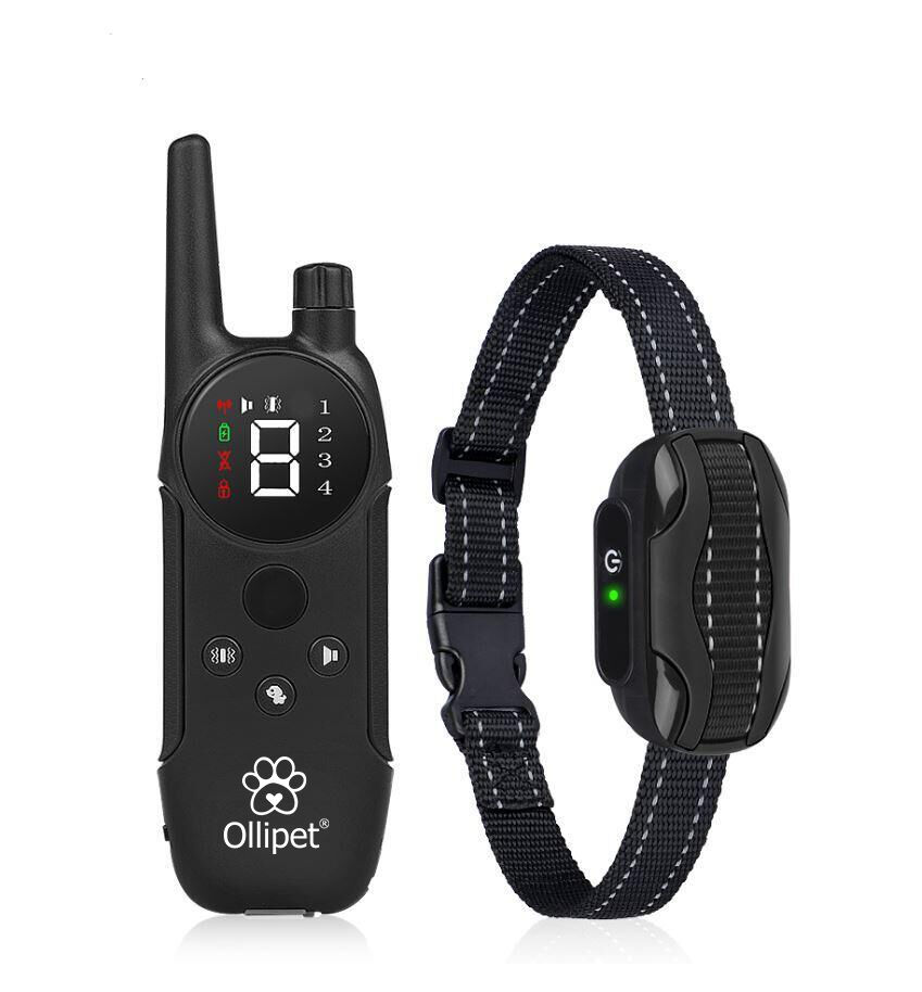 Remote Dog Trainer | Lydighedstræner