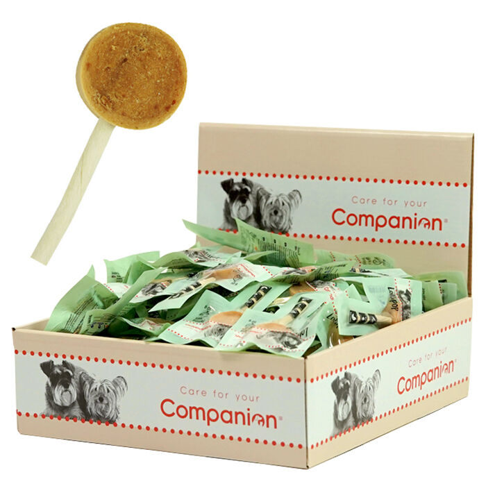 Companion Lollipop Kylling | 60 stk. STORKØB