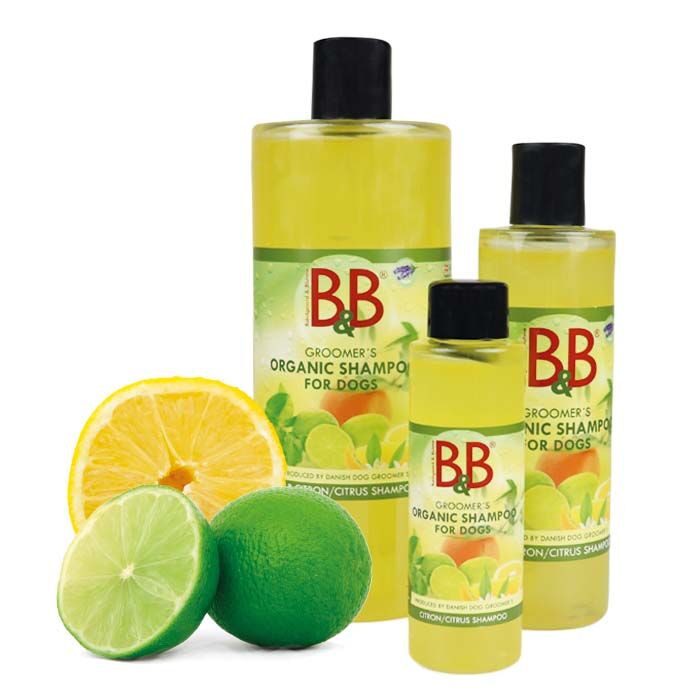 Vellykket tønde Kom op B&B Citrus shampoo | Økologisk hundeshampoo