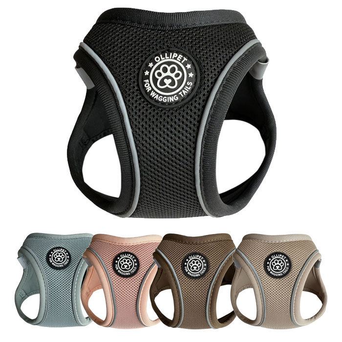Ollipet For Wagging Tails | Step in Sele