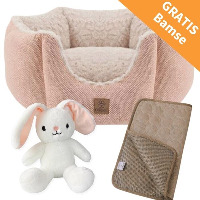 Ollipet hundeseng 50 cm, køletæppe og Gratis Bamse - Rosa | z1